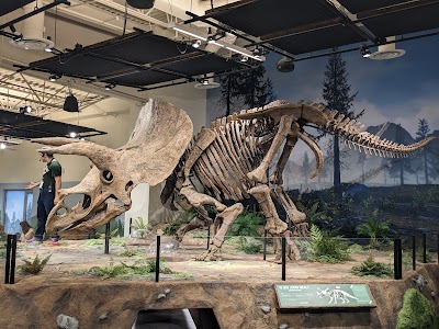 Glazer Children's Museum photo 3