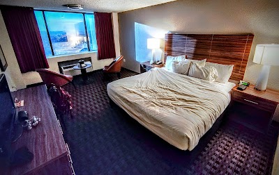 The D Casino & Hotel photo 2