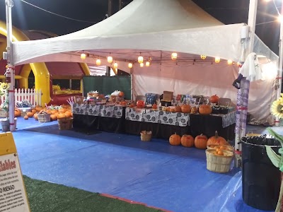 ABC Tree Farms & Pick of the Patch Pumpkins - SMNO photo 5