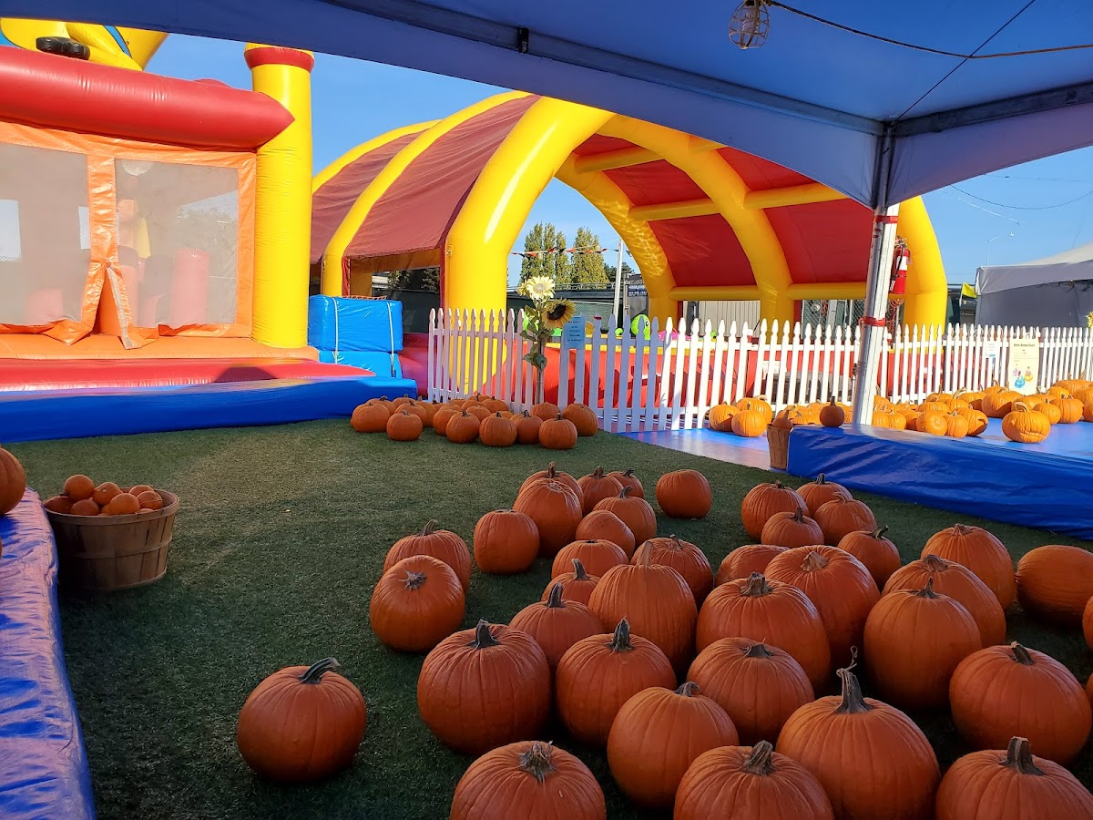 ABC Tree Farms & Pick of the Patch Pumpkins - SMNO