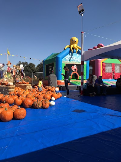 ABC Tree Farms & Pick of the Patch Pumpkins - SMNO photo 4