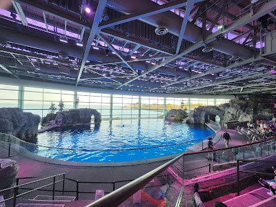 Shedd Aquarium photo 4