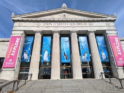 Shedd Aquarium photo 2