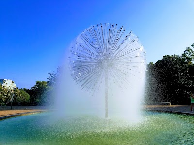 Buffalo Bayou Park photo 2