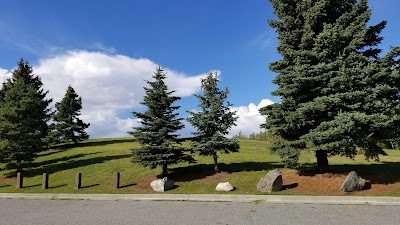 Balto Seppala Park photo 5