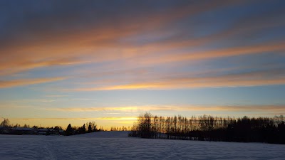 Balto Seppala Park photo 3