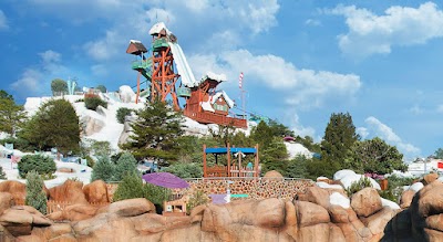 Disney's Blizzard Beach Water Park photo 2