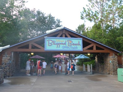 Disney's Blizzard Beach Water Park photo 5
