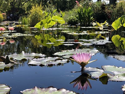Denver Botanic Gardens photo 4