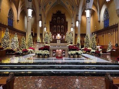 Cathedral of St John the Evangelist photo 2