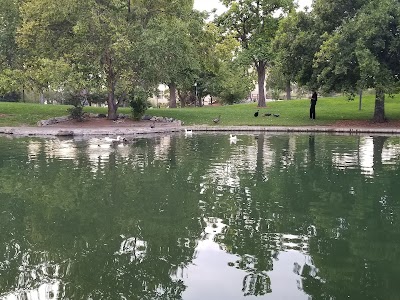 UNM Duck Pond photo 3