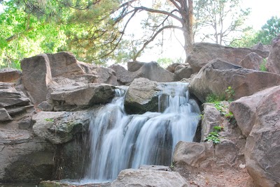 UNM Duck Pond photo 4