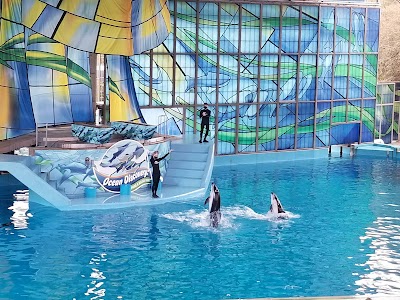 Aquatica San Antonio photo 4