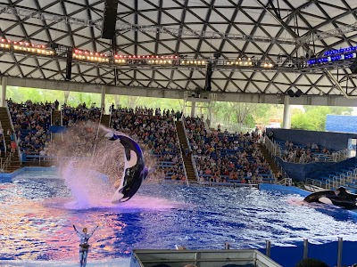 Aquatica San Antonio photo 2