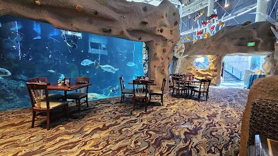 Downtown Aquarium photo 3