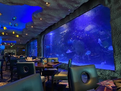 Aquarium Restaurant photo 5