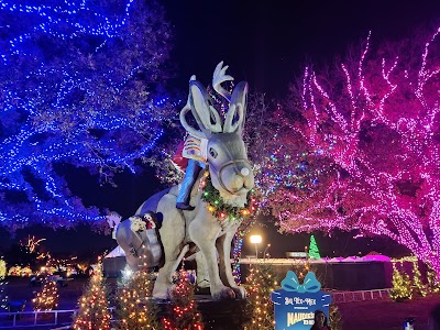 Zilker Metropolitan Park photo 4