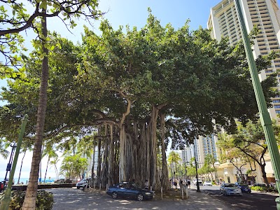 Ala Moana Regional Park photo 3