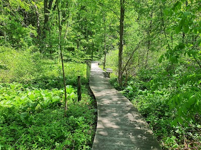 Eloise Butler Wildflower Garden and Bird Sanctuary photo 3