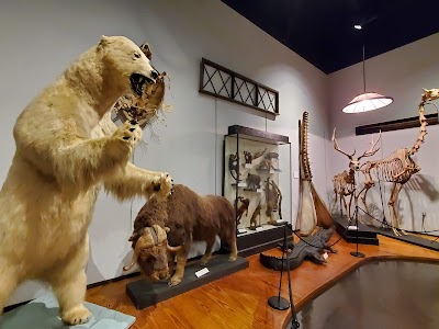 The Charleston Museum photo 4