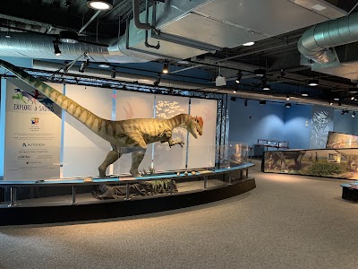 Boston Children's Museum photo 5