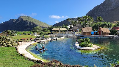 Sea Life Park Hawaii photo 3