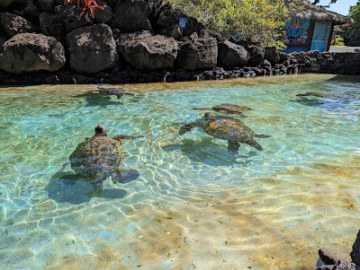 Sea Life Park Hawaii photo 2