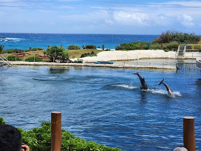 Sea Life Park Hawaii photo 5