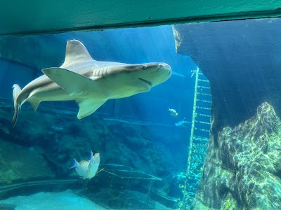 Sea Life Park Hawaii photo 4