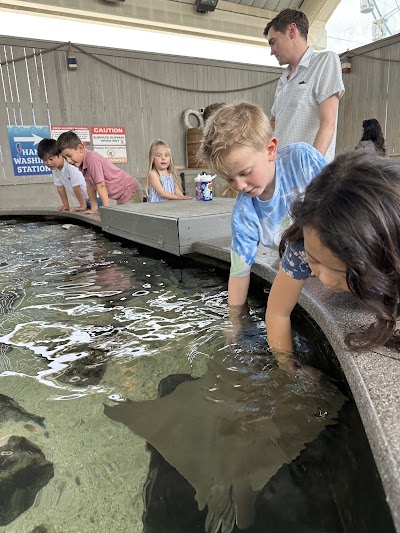 Children's Aquarium Dallas at Fair Park photo 2