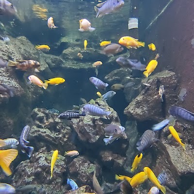 Children's Aquarium Dallas at Fair Park photo 3
