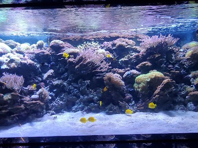 Children's Aquarium Dallas at Fair Park photo 5
