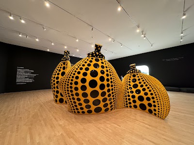 San Francisco Museum of Modern Art photo 5