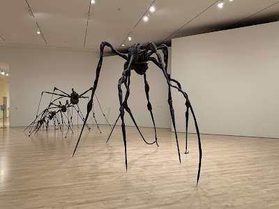 San Francisco Museum of Modern Art photo 4
