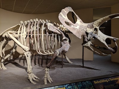 Milwaukee Public Museum photo 2