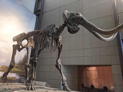 Milwaukee Public Museum photo 5