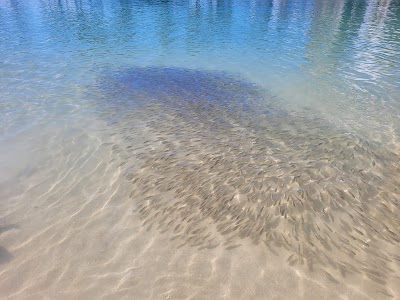 Hilton Lagoon photo 5