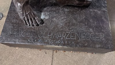 Arnold Statue photo 4