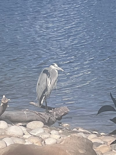 Boise River Park photo 3