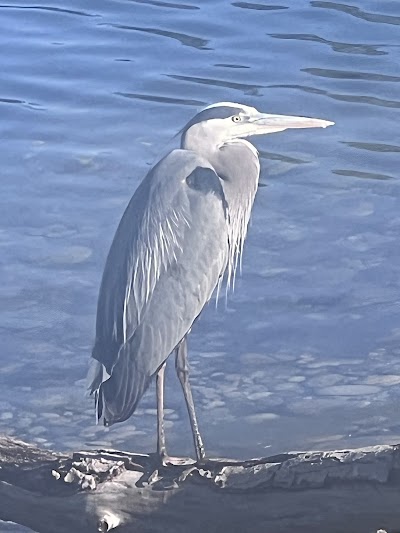 Boise River Park photo 5