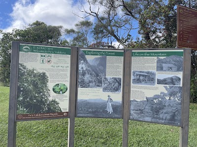 Tantalus Lookout - Puu Ualakaa State Park photo 3