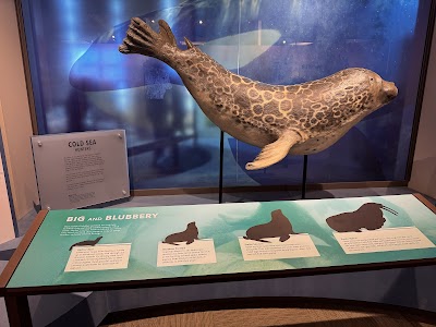 Alaska Public Lands Information Center photo 5