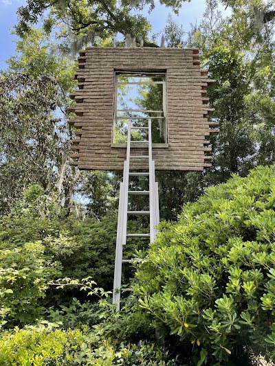 Sydney and Walda Besthoff Sculpture Garden photo 4