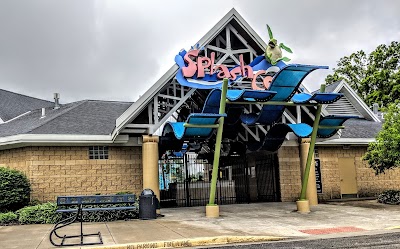 Splash Cove photo 3