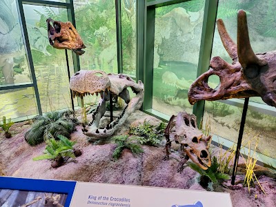 Witte Museum photo 3