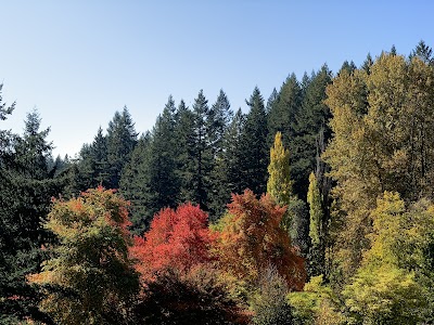 Hoyt Arboretum photo 4