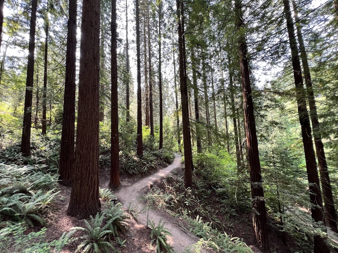 Hoyt Arboretum
