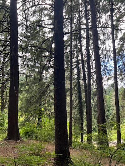 Hoyt Arboretum photo 5