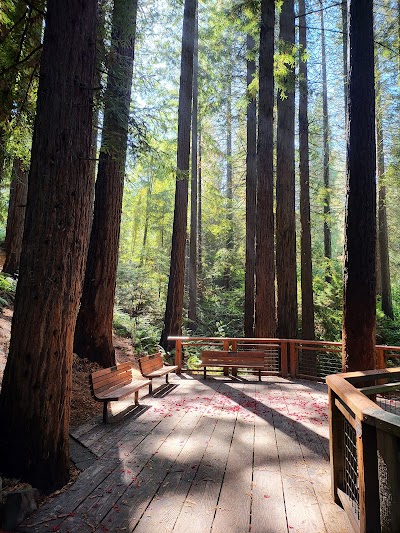 Hoyt Arboretum photo 2