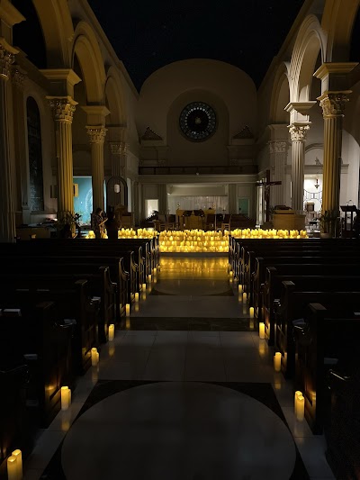 The Cathedral of the Immaculate Conception photo 5